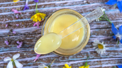 Jar of royal jelly