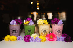 Raleigh Raw Juice Bar & Cafe