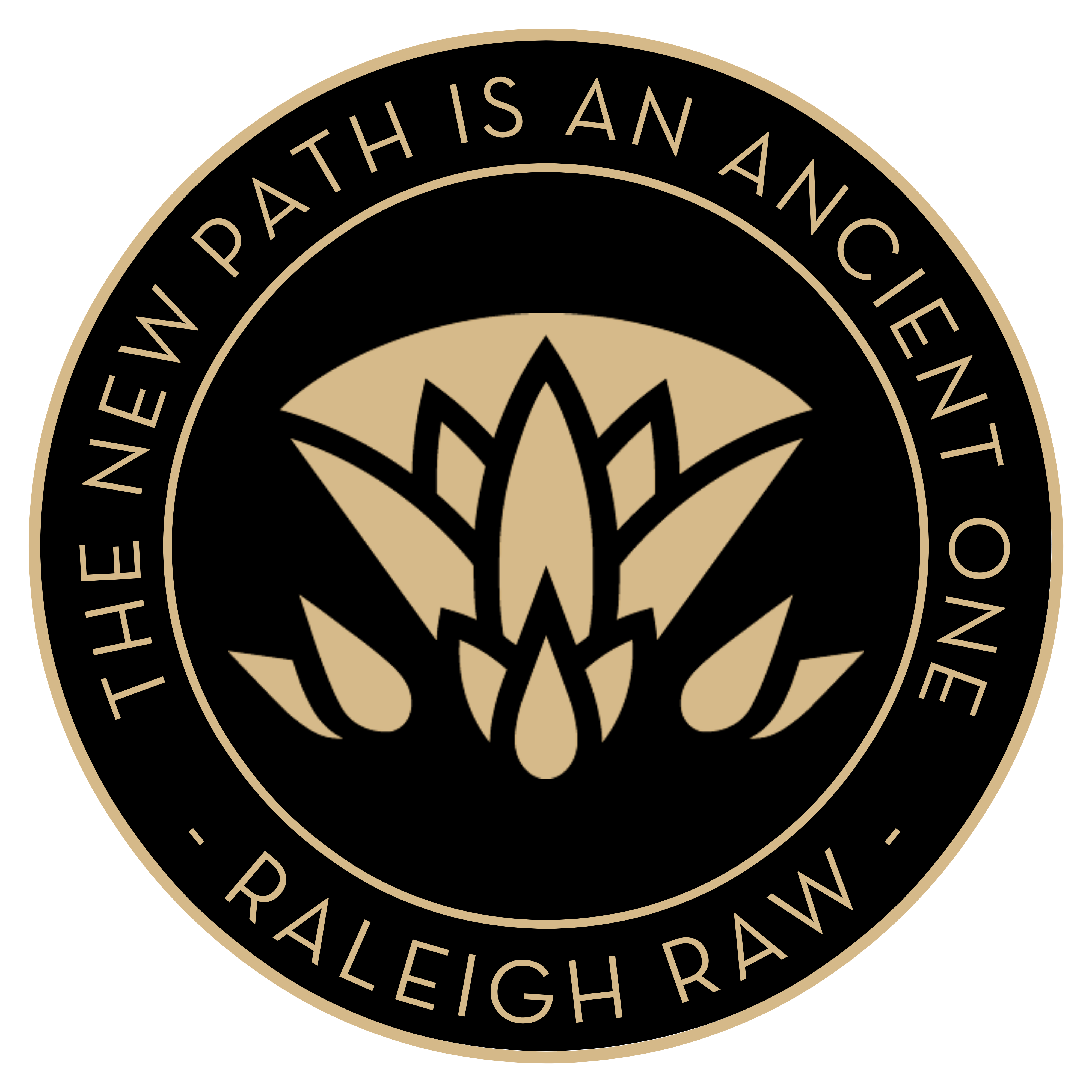 Raleigh Raw 